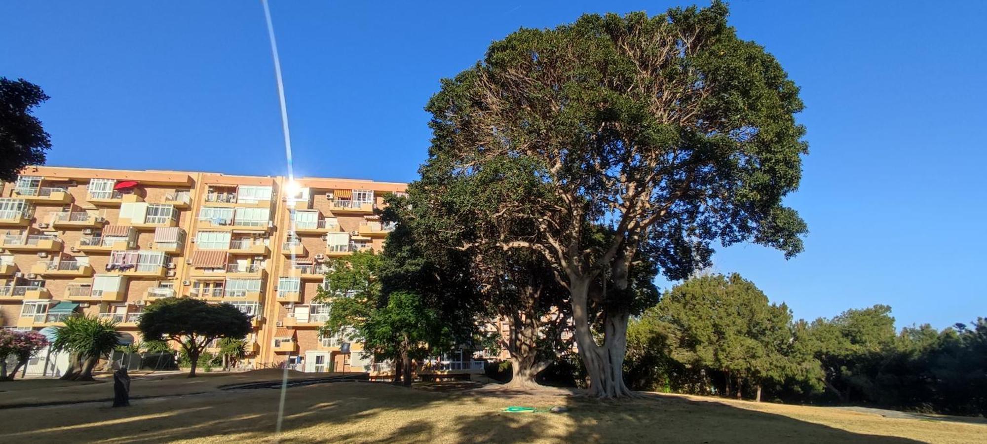 Apartamento Aguila, Arroyo De La Miel, Benalmádena Kültér fotó